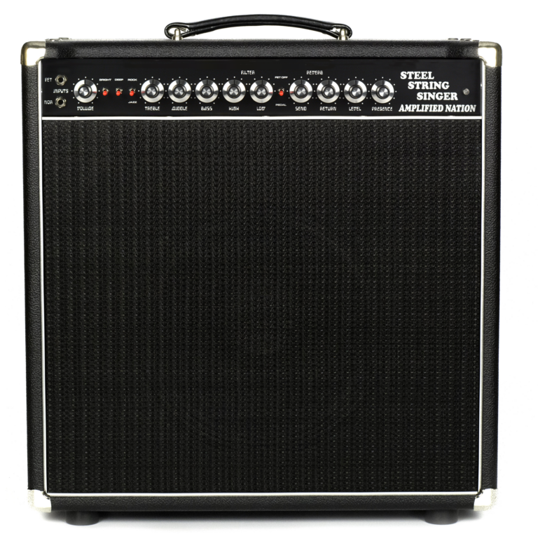 Steel String Singer Amplified Nation