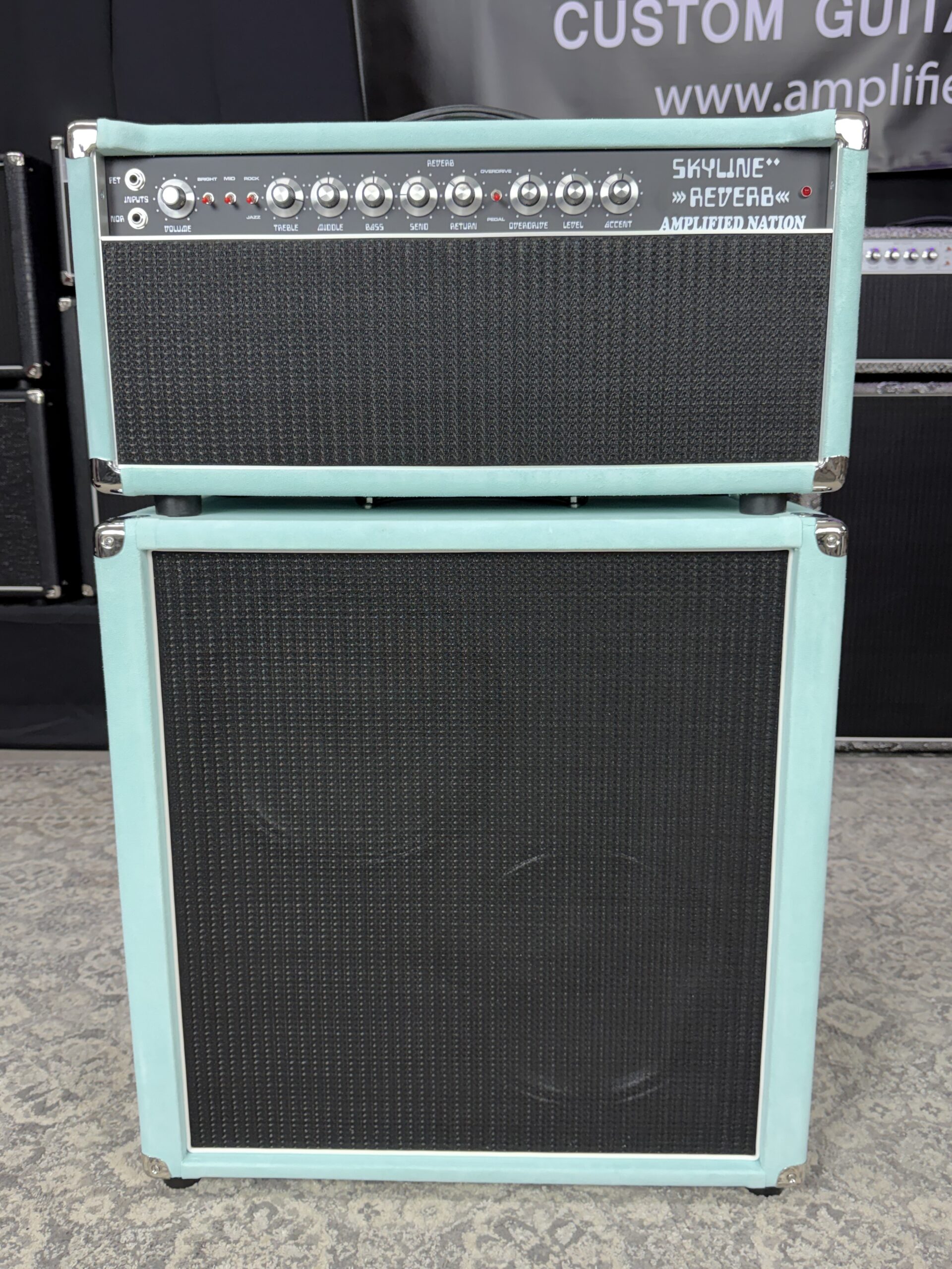 (In Stock) 50w Skyline Reverb - Mint Suede with Black Cloth and Matching 2x12